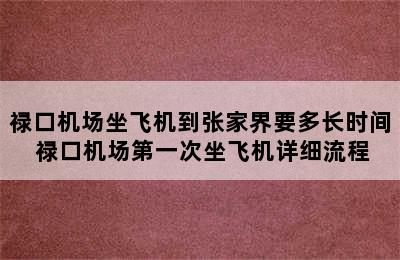 禄口机场坐飞机到张家界要多长时间 禄口机场第一次坐飞机详细流程